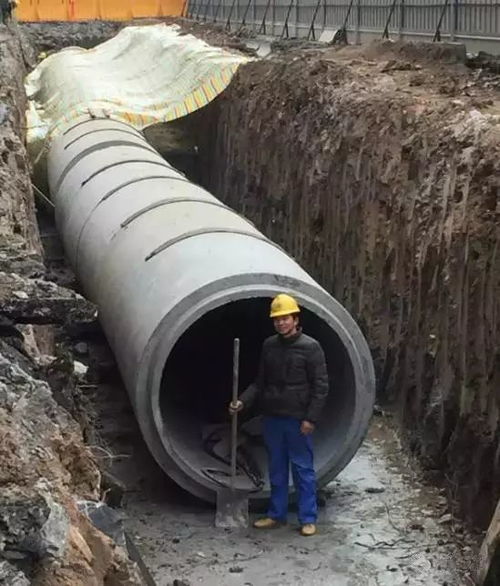 海绵城市怎么做 多图教你看懂市政排水工程海绵化改造